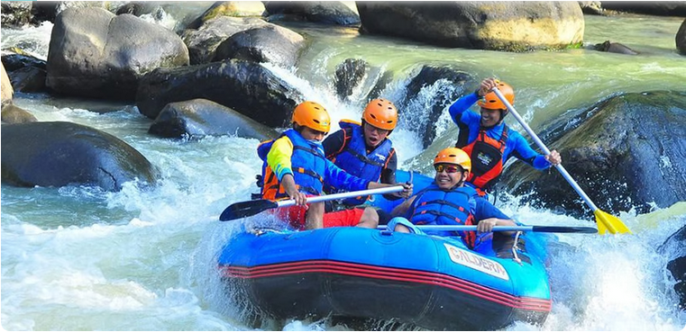 arum jeram