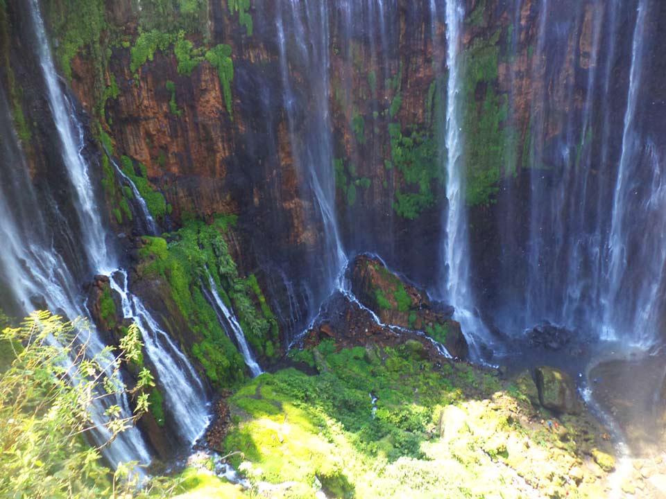 Cantik Banget! Daftar Air Terjun Malang Penuh Kenangan