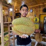 DURIAN MONTONG