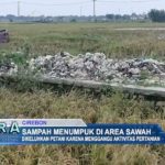 Sampah Menumpuk Di Area Sawah