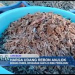 Harga Udang Rebon Anjlok