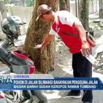 Pohon Di Jalan Siliwangi Bahayakan Pengguna Jalan