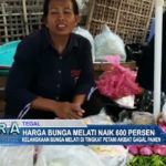 Harga Bunga Melati Naik 600 Persen