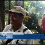 Pemangkasan Pohon Di RSD Gunung Jati Kota Cirebon