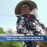 Warga Nekat Jemur Padi Di Pinggir Rel KA