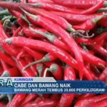 Cabe dan Bawang Naik