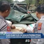 Polsek Kesambi Polres Ciko Gagalkan Pengiriman Petasan