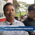 Kuwu Di 2 Desa Minta Pengembangan Pabrik Dihentikan