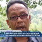 Penyadapan Getah Pinus di Palutungan Diklaim Legal