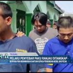 Pelaku Penyebar Paku Ranjau Ditangkap