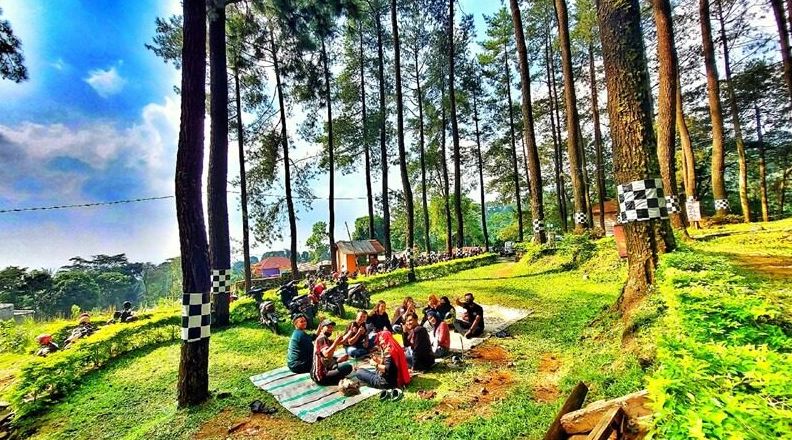 Wisata Kendal Jawa Tengah/ Hutan Pinus Nglimut