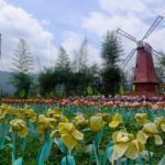 Salah Satu 7 Keajaiban Dunia ini Ada di Purwokerto, Ternyata di Sini Tempatnya
