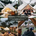 Rasakan Sensasi glamping di pallatina Glamping Jogja