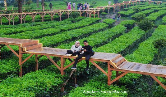 Eid holidays nih !!Ajak keluarga mu liburan kebun the purwodadi..Sekarang