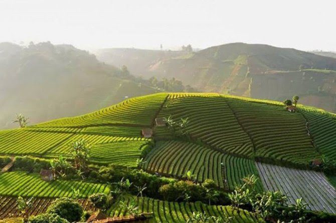 Wisata Majalengka Paralayang