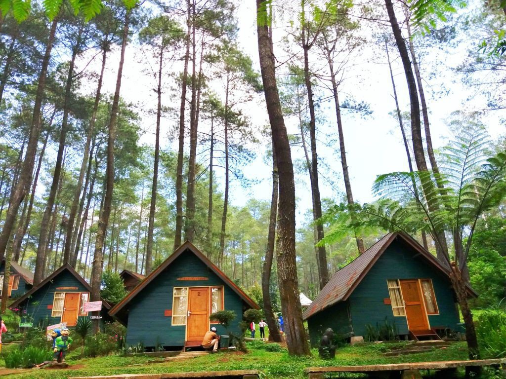 ADEM BANGET! Menginap di Pondok Wisata Grafika Cikole, Bisa Outbond Juga Loh