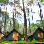 ADEM BANGET! Menginap di Pondok Wisata Grafika Cikole, Bisa Outbond Juga Loh