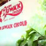 Ini Dia Wisata kopi luwak  Cikole Bandung Untuk Anda.