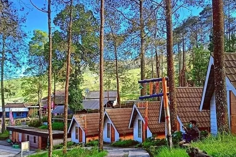 3 Tempat Glamping Populer di Tawangmangu dengan Harga Murah