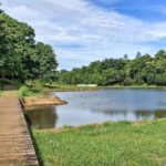 Healing Murah di Tempat Wisata Cibinong Berikut Ini, Gak Takut Kantong Jadi Bolong!