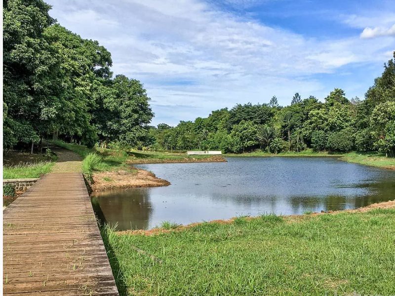 Healing Murah di Tempat Wisata Cibinong Berikut Ini, Gak Takut Kantong Jadi Bolong!