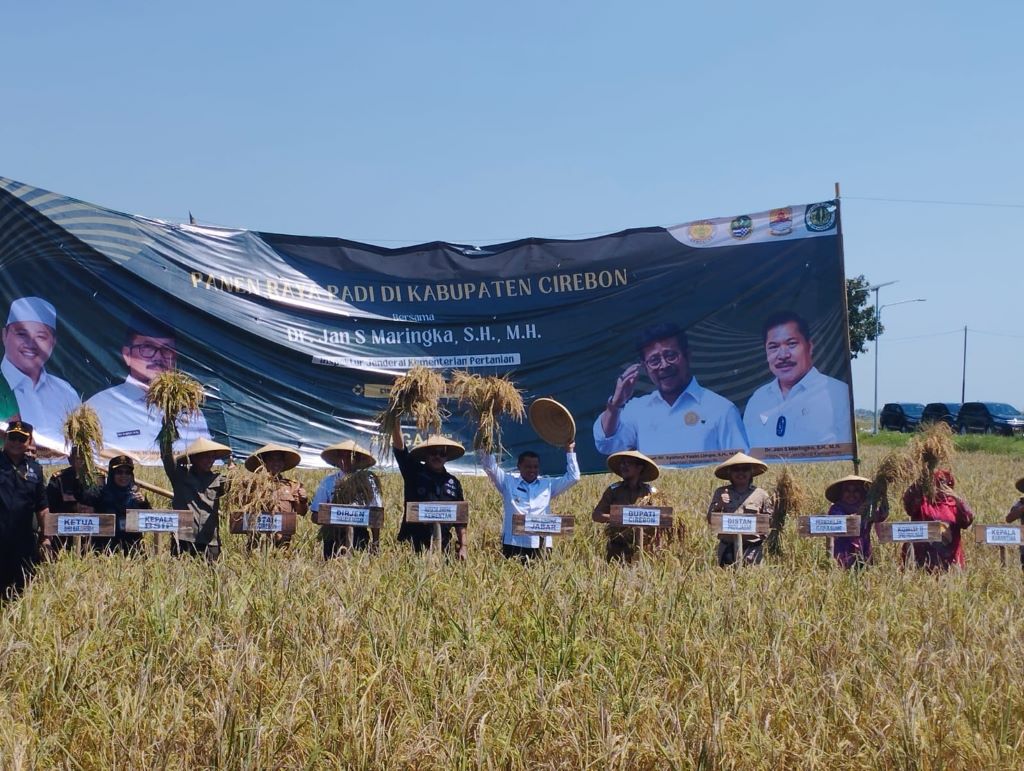 Irjen kementan panen raya padi di Kabupaten Cirebon