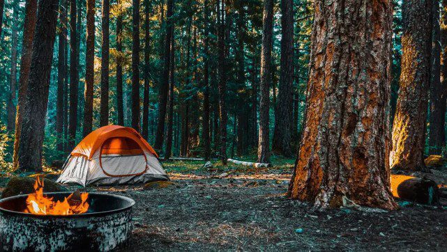 Glamping Terbaik Tegal Lagi Hits Tahun 2023