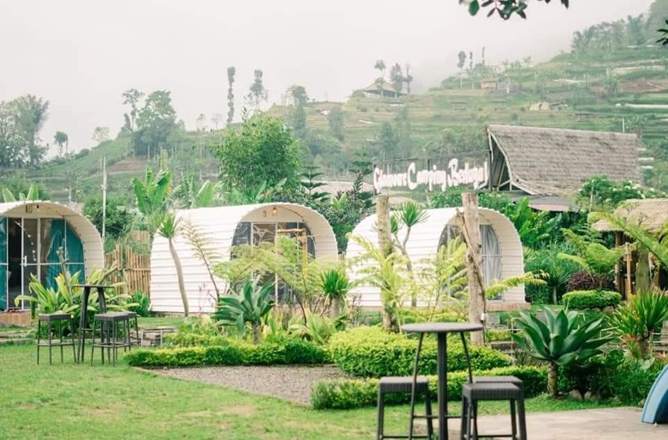 Mampir Bali, Cobain Glamping Murah di Bedugul dengan Suasana Alam yang Cantik