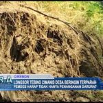 Longsor Tebing Cimanis Desa Beringin Terparah
