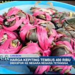 Harga Kepiting Tembus 400 Ribu