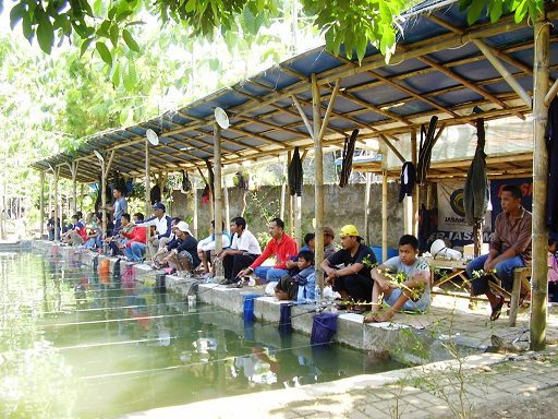 Cari tempat wisata pemancingan di cibinong Yang Terkenal Ini jawabnya