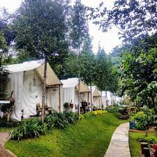 Ini Loh Yang Terkenal Di Bandung maribaya glamping tent