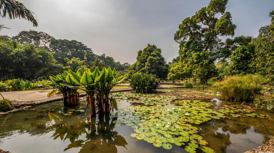 tempat wisata Cibinong/ dw.com