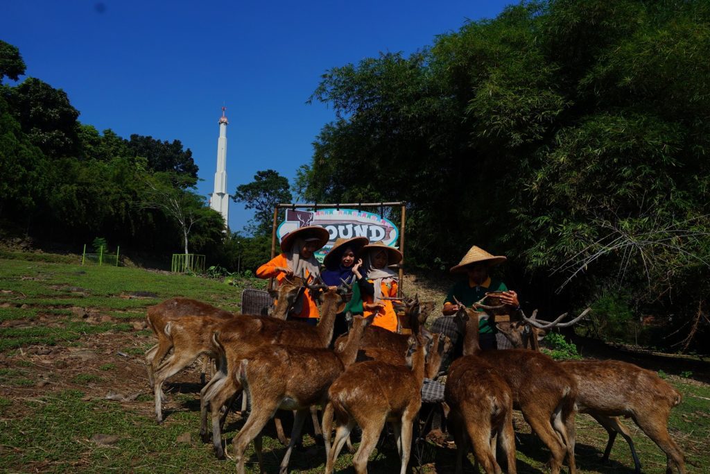 J-Bound, Bogor.