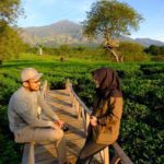 Ajak Pacarmu Healing Bareng di Kebun Teh Wonosari dengan Pemandangan Indah dan Harga Murah