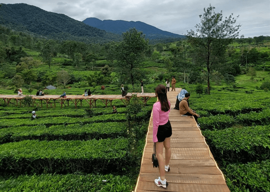 5 Destinasi 'Wisata Kebun Teh Bogor' Berikut Ini Bakal Bikin Kamu Langsung Cepet-Cepet Mau Packing