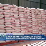 Cara Bermitra Dengan Bulog