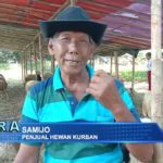 Penjual Hewan Kurban Mulai Bermunculan