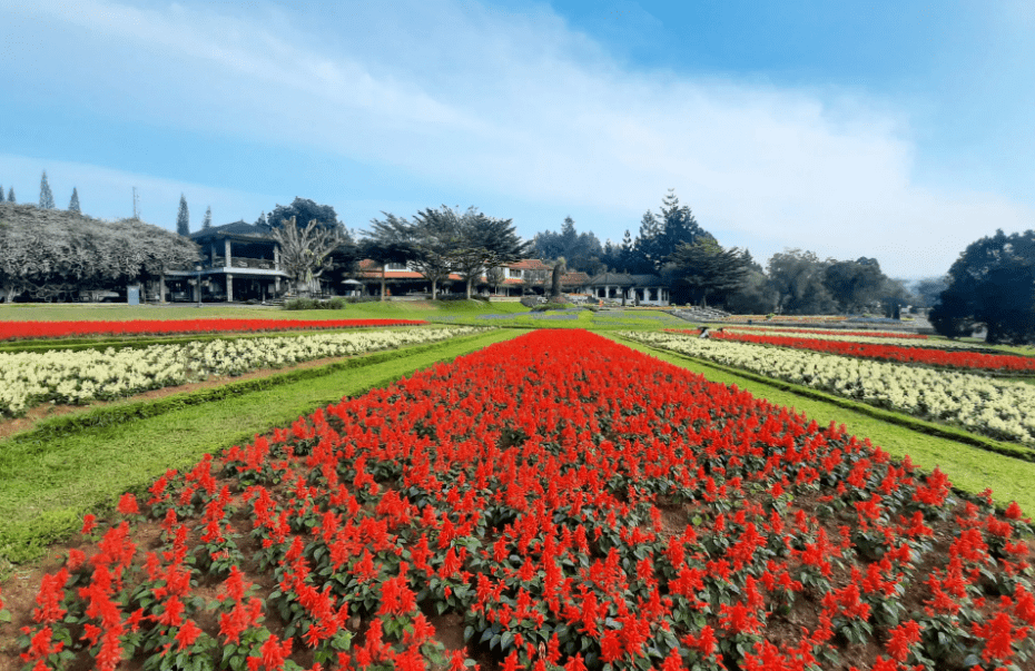 5 Tempat Wisata di Bogor yang Instagramable dan Memukau