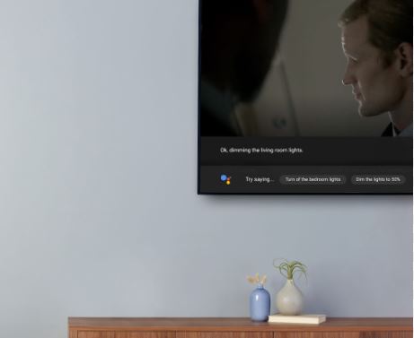 Kini Semakin Canggih - Begini Cara Memakai Assistant Android TV