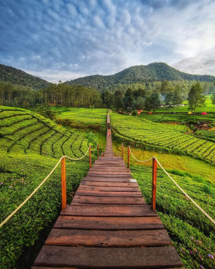 Nyesel Kalau Gak Kesini! Inilah Tempat Wisata Bandung Paling Indah, Ada yang Bernuansa Swiss Hingga Menawarkan Pemandangan Sunrise