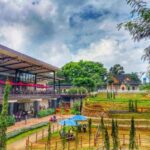 Pusing Ya Healing - Yuk Liburan ke Tempat Wisata Bogor The Ranch