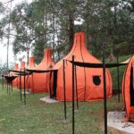 Cobain Yuk Camping di Bandung! Ada yang Menyediakan Outbound, Penangkaran Rusa Hingga Glamping