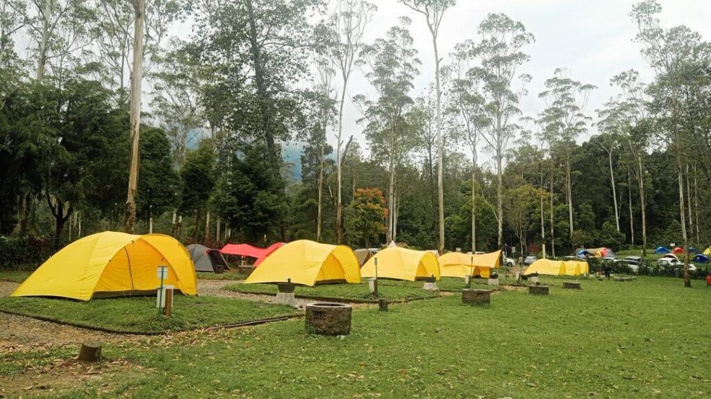 Lepaskan Beban Pikiranmu, Yuk Santai Sejenak di Tempat Camping Ciwidey Ini