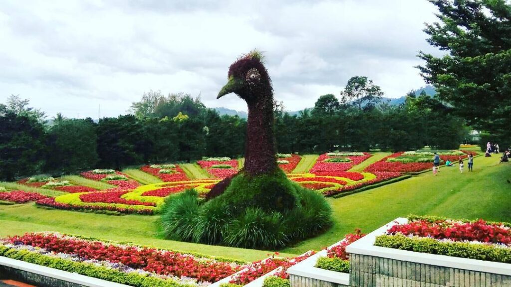 Tempat Wisata Bogor Kota Bunga, Destinasi Wisata yang Menawarkan Keindahan Alam yang Menakjubkan