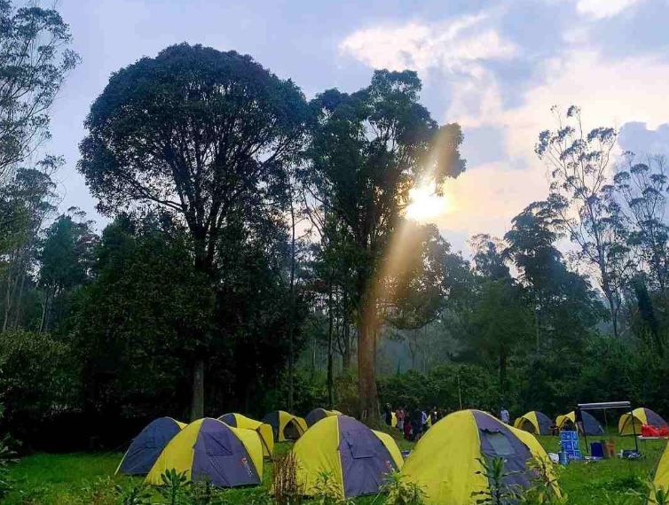 Liburan Keluarga Kemah Yuk - Berikut Info Paket Camping Bandung