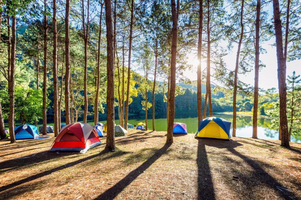 https://hotelier.id/tempat-camping-di-pangalengan/