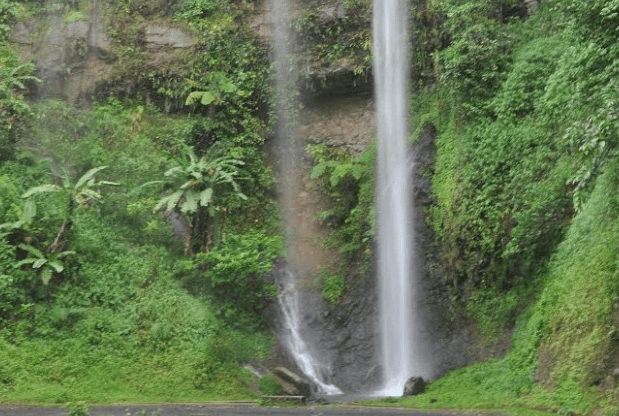 Curug Ceret Pangalengan: Keindahan Alam yang Menakjubkan di Tengah Hutan Jawa Barat