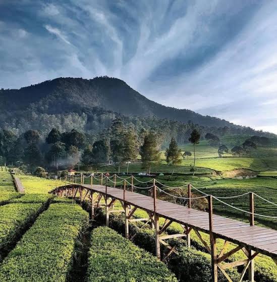 Yuk! Menjelajahi Keindahan Riung Gunung Pangalengan Bandung! Nyaman dan Sejuk Bangettt