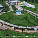 Wisata Nimo Highland Pangalengan Bandung - Harga Tiket & Jam Buka